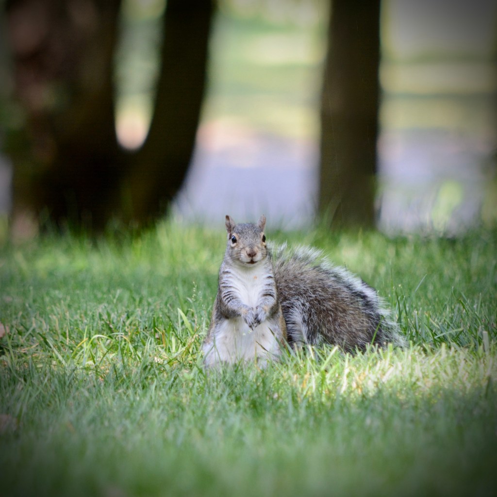 Summer Mornings And Good TV&nbsp;Shows