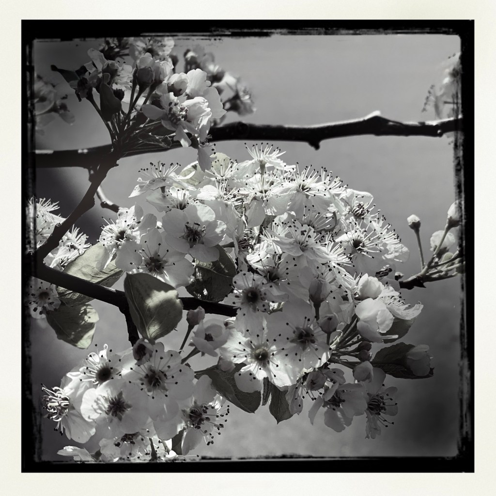 Looking For A New Camera And&nbsp;Style