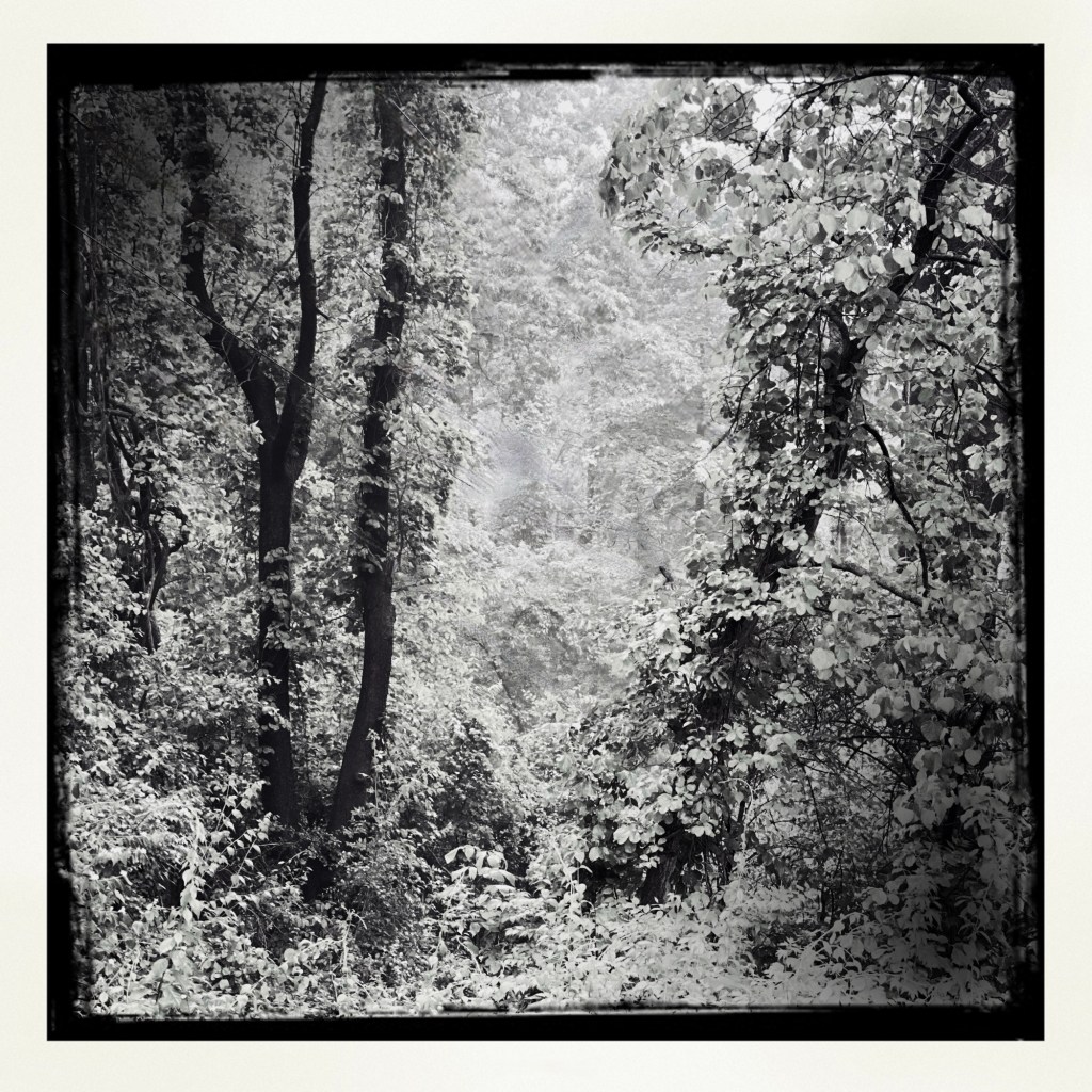 Summer Mornings And Good&nbsp;Movies