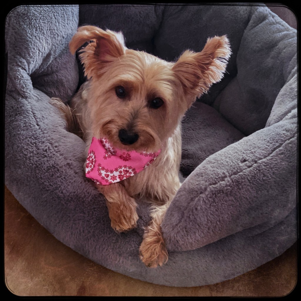 Summer Mornings And Good&nbsp;Books