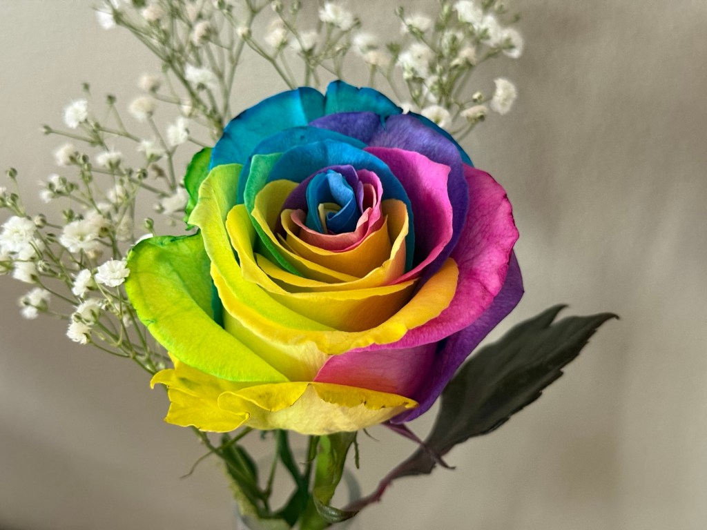 Summer Mornings And Good&nbsp;Movies