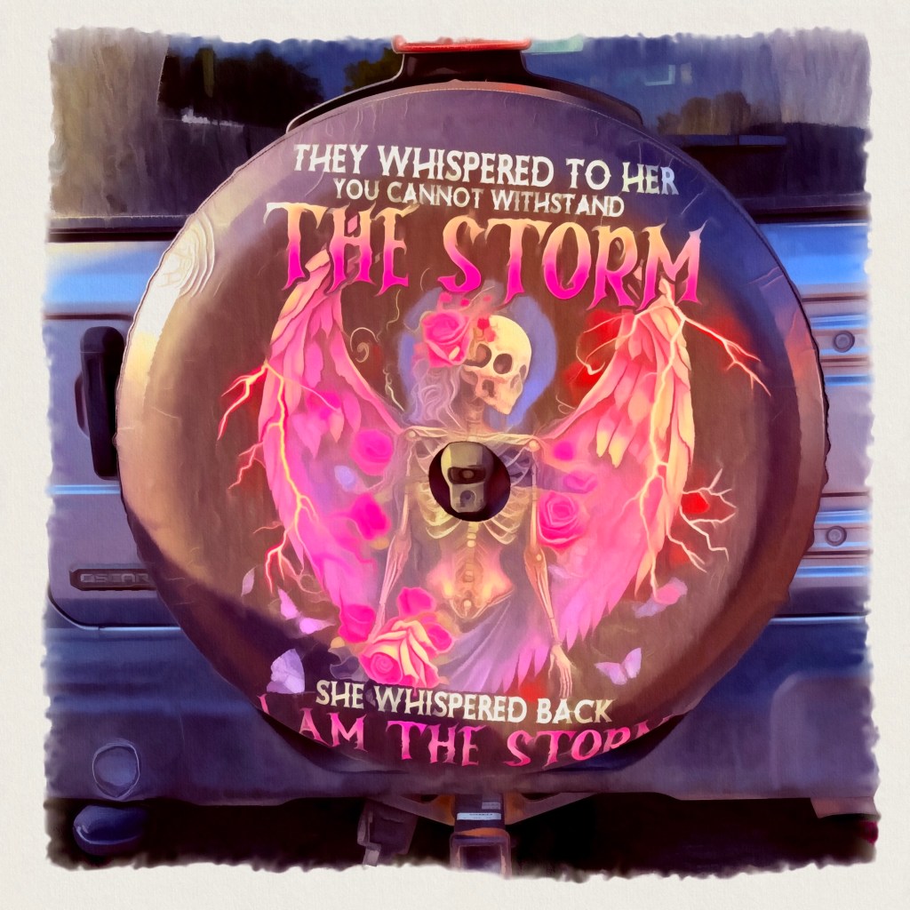 The Universe Keeps Sending Me&nbsp;Signs