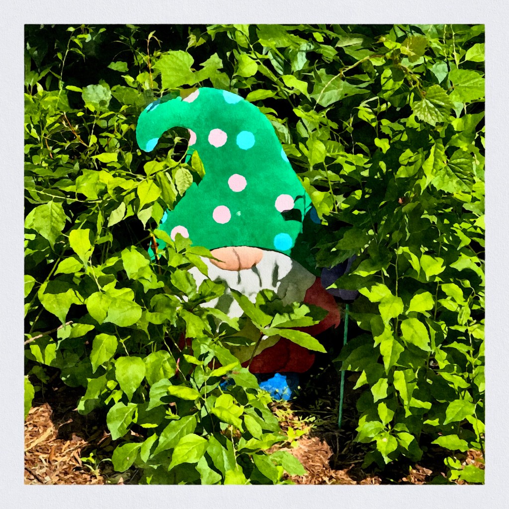 Summer Mornings And Good&nbsp;Movies