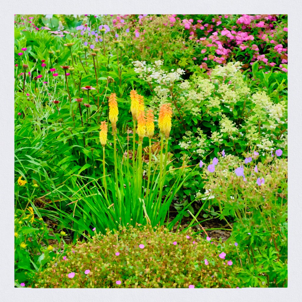 Summer Mornings And Good&nbsp;Music