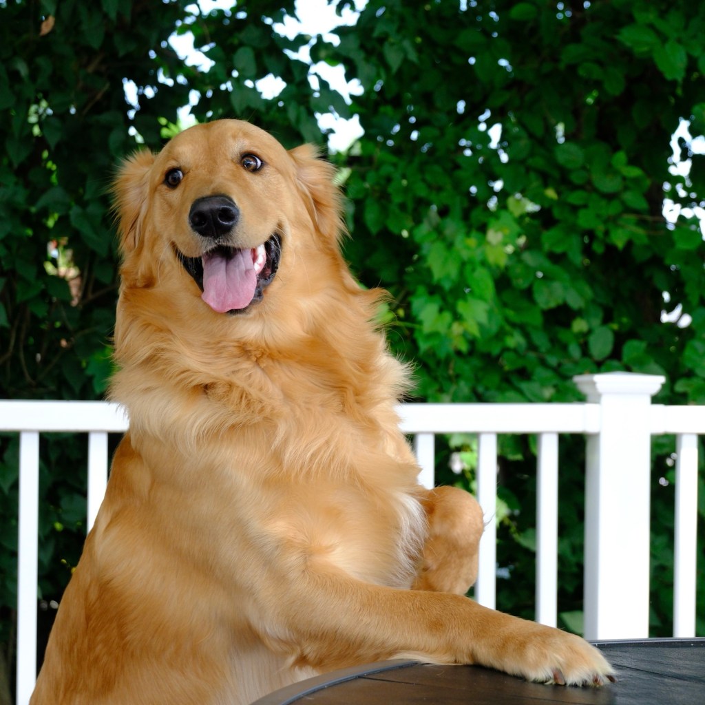 Summer Mornings And Good TV&nbsp;Shows