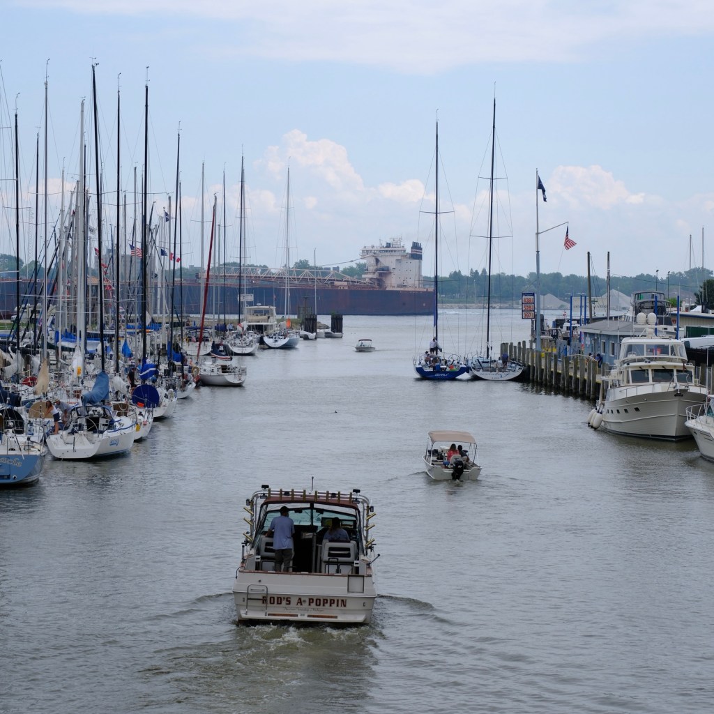 Summer Days And A Good&nbsp;Documentary