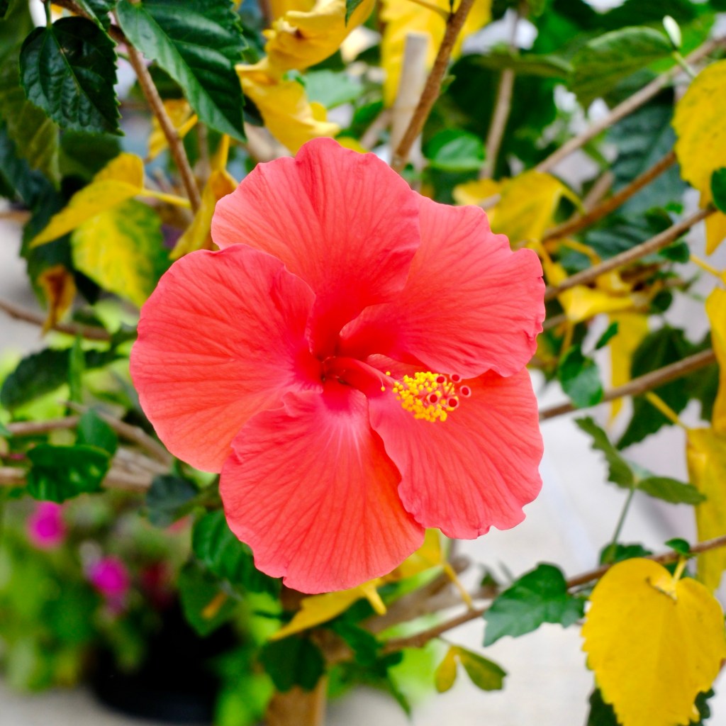 Summer Mornings And Good&nbsp;Movies