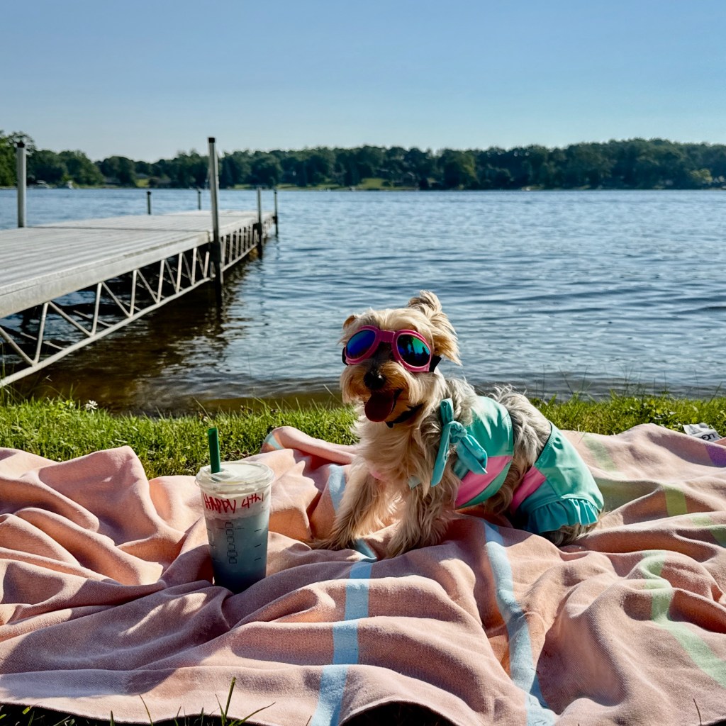 Summer Mornings and Good Movies And Books