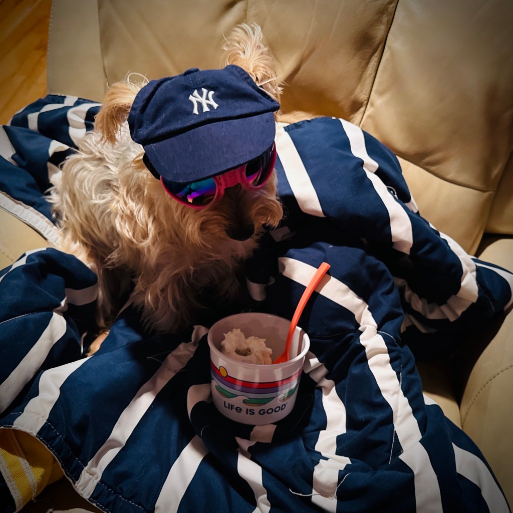 I’m Hiding From Exercise…I’m In The Fitness Protection&nbsp;Program