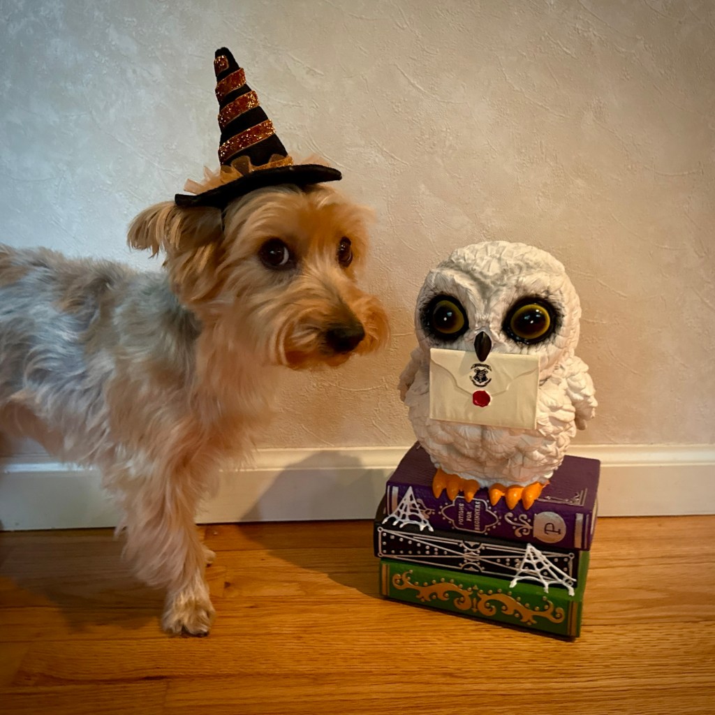 Harper’s Joining The Summerween&nbsp;Fun