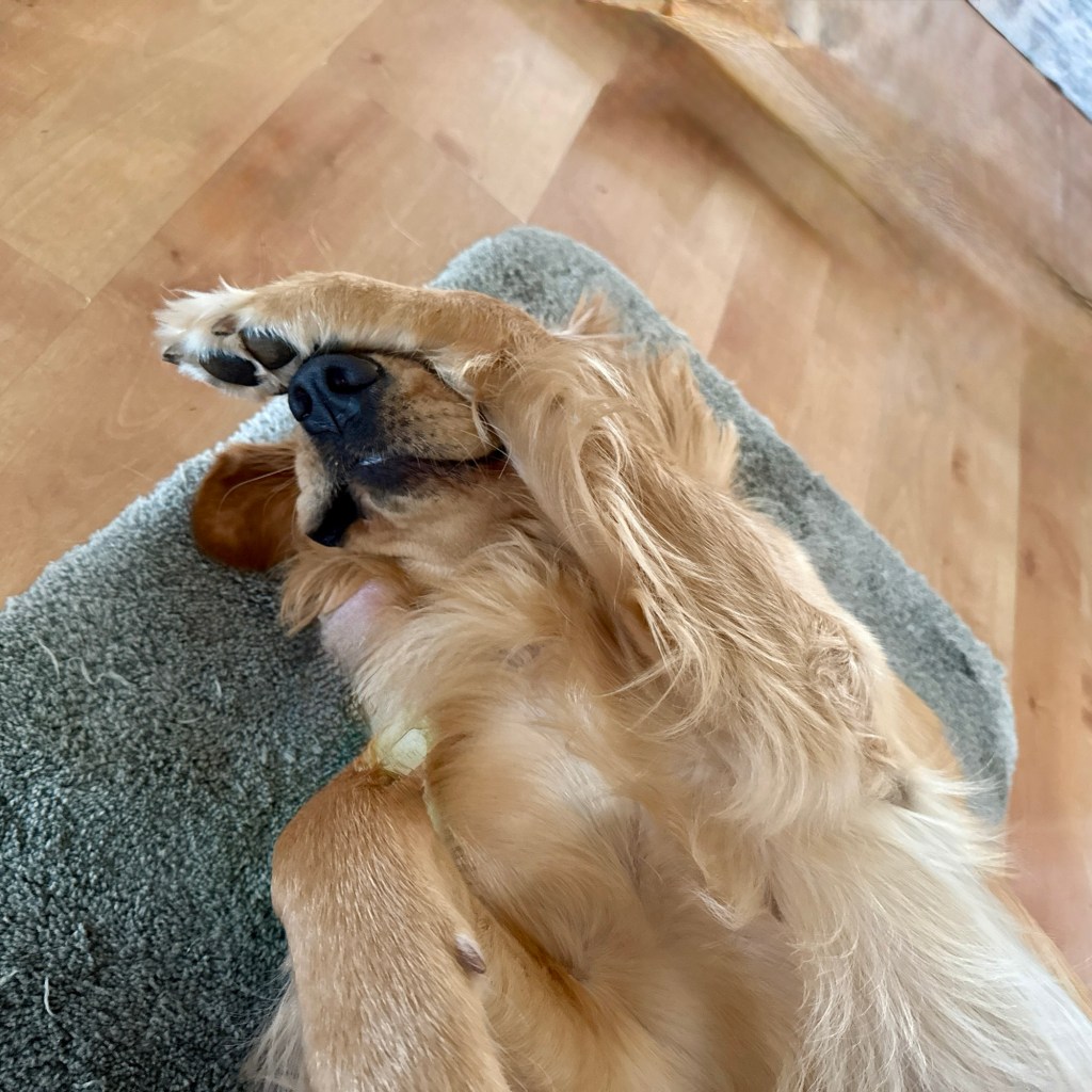 For The Love Of God, Don’t Let Her Choose Another&nbsp;Movie