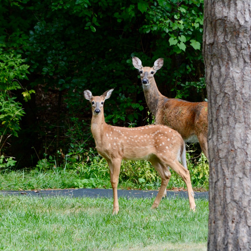 Summer Days And Good&nbsp;Music