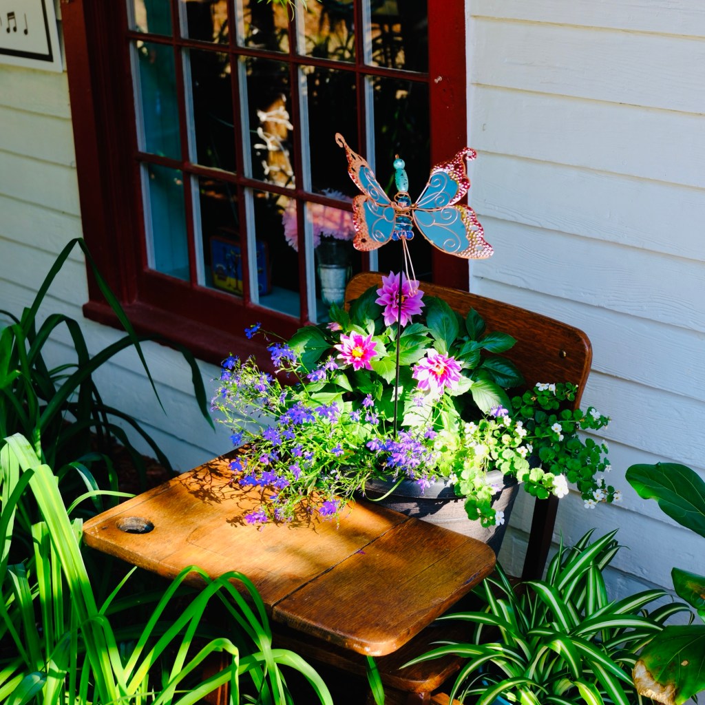 Summer Mornings And Good Books, Movies and TV Shows