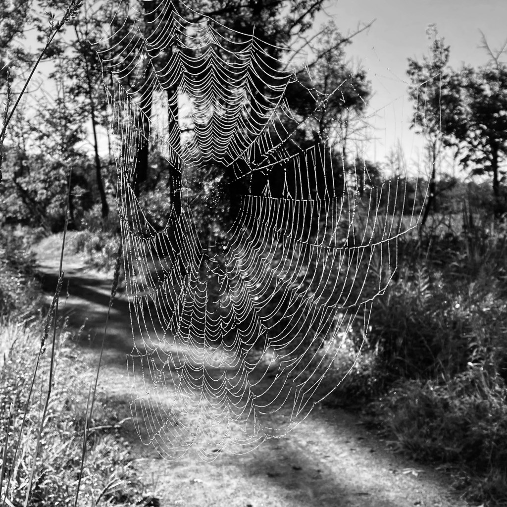 Remember To Drink Lots Of Water And Stay Indoors Between 11:00am And September&nbsp;22nd