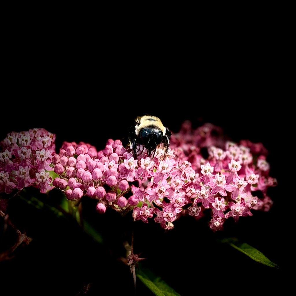 Summer Mornings And Good TV&nbsp;Shows