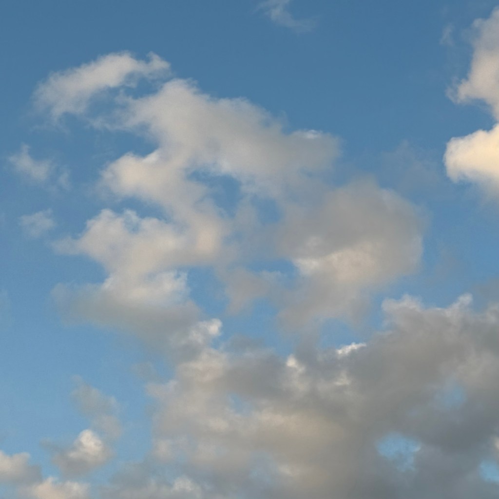 Summer Days And Good&nbsp;Movies