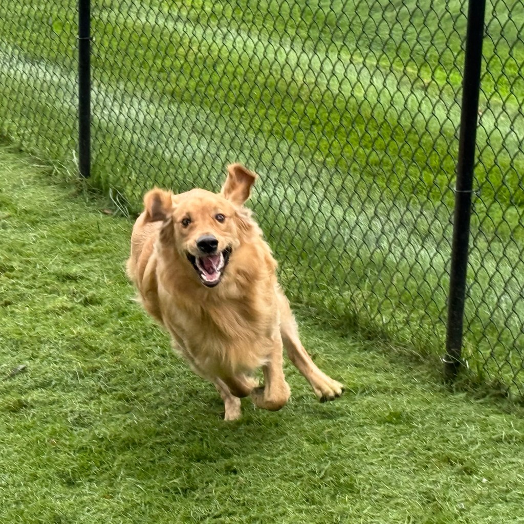 Summer Days And Good&nbsp;Movies