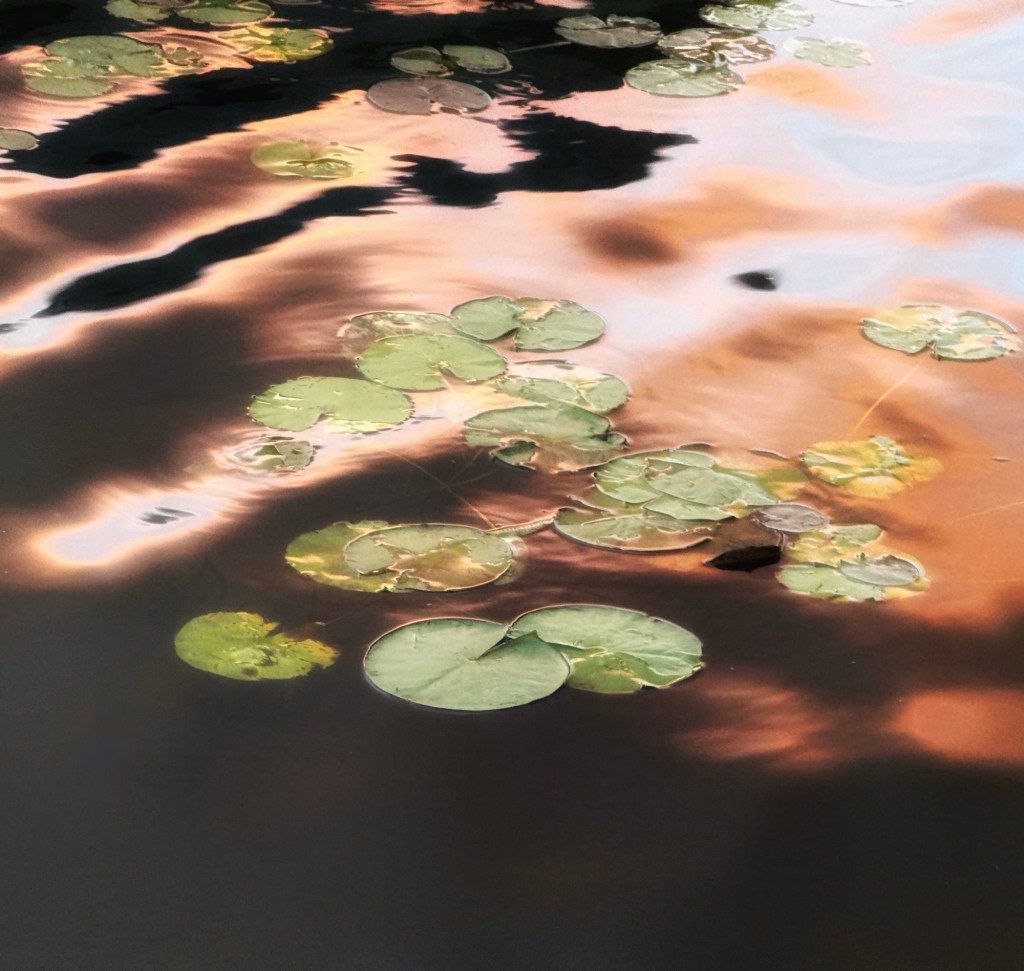 Isn’t That Special