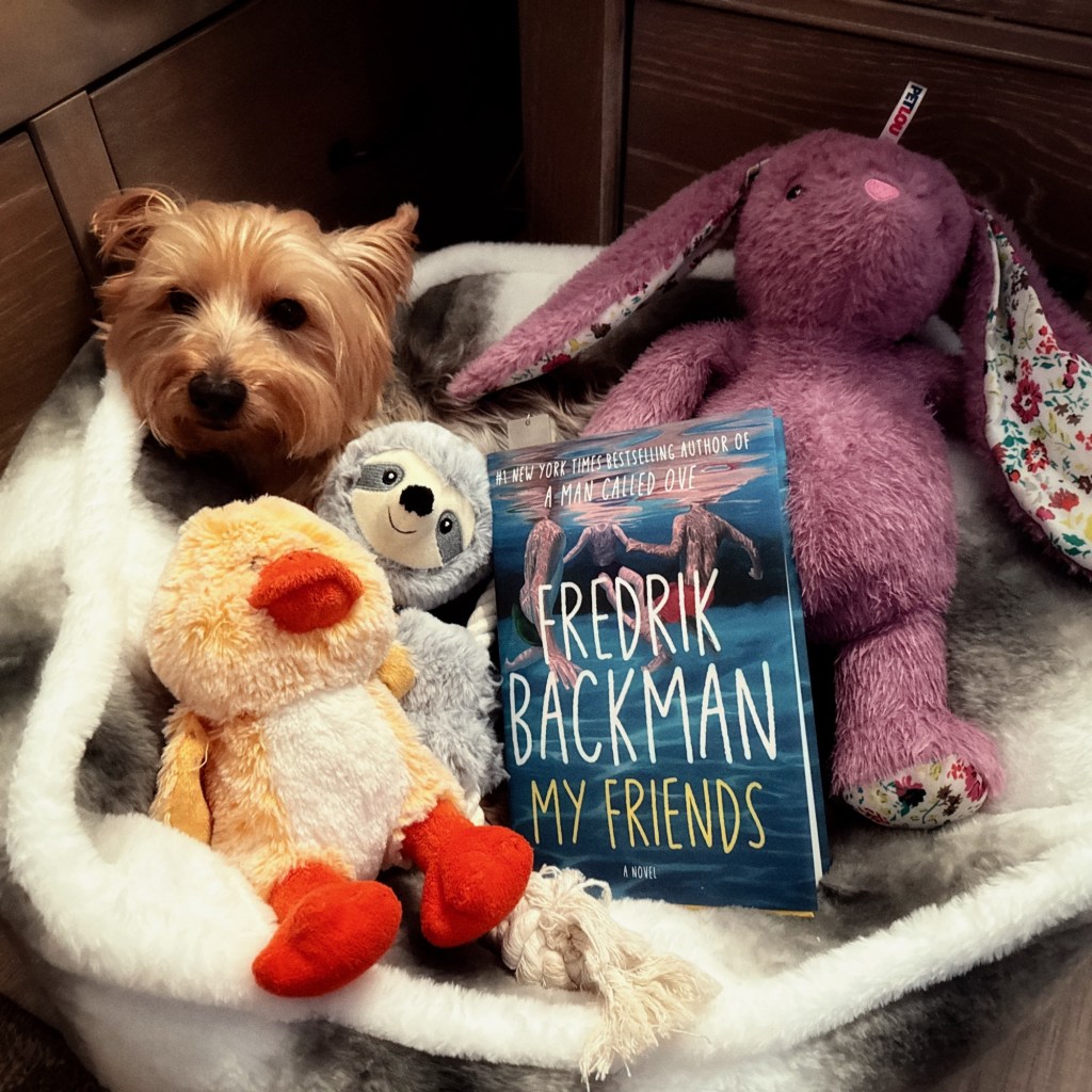 Fall Days And Good Books