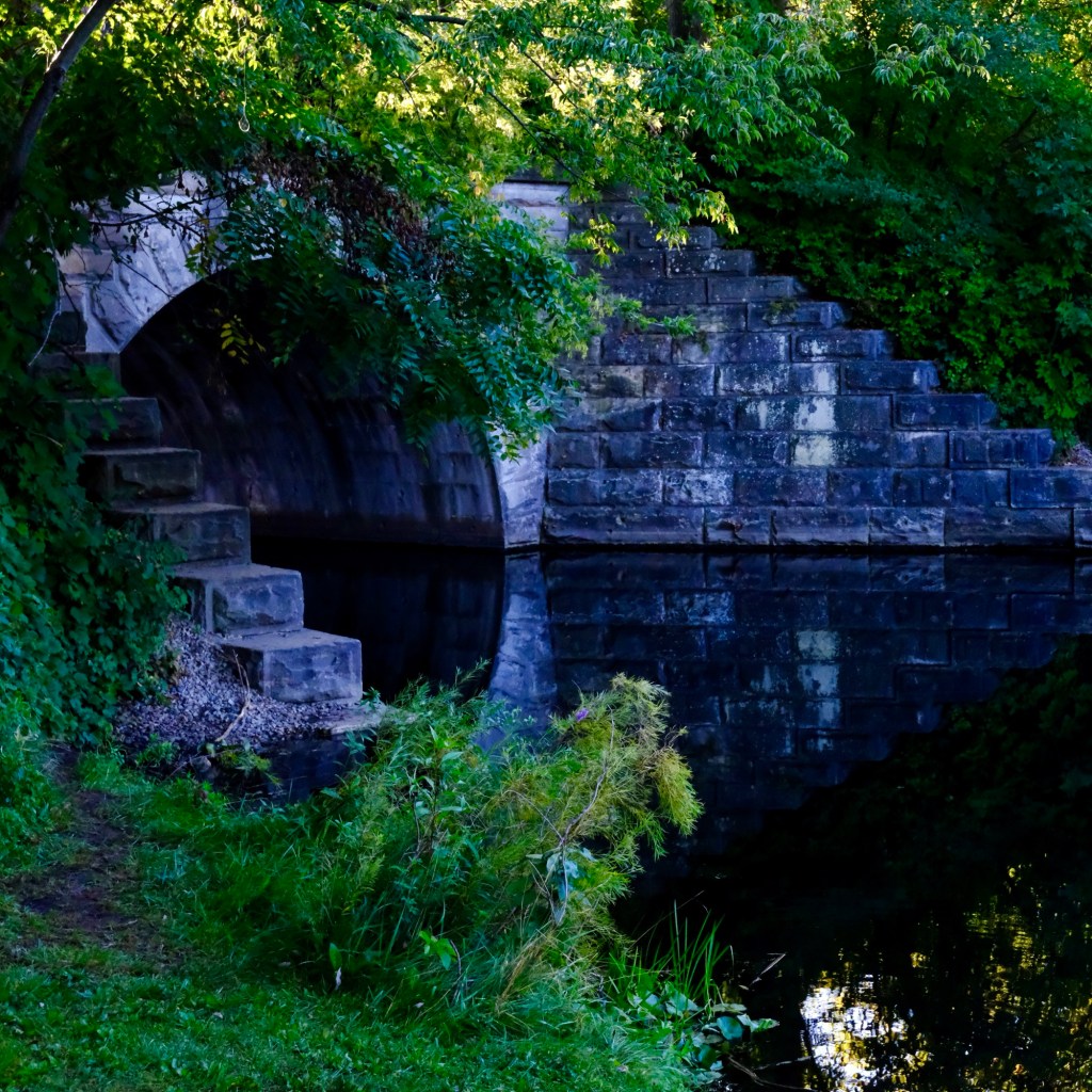 Fall Mornings And Good&nbsp;Podcasts