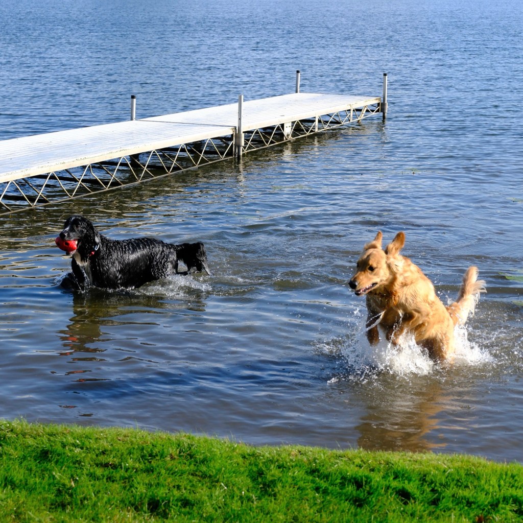 Fall Mornings And Good&nbsp;Music