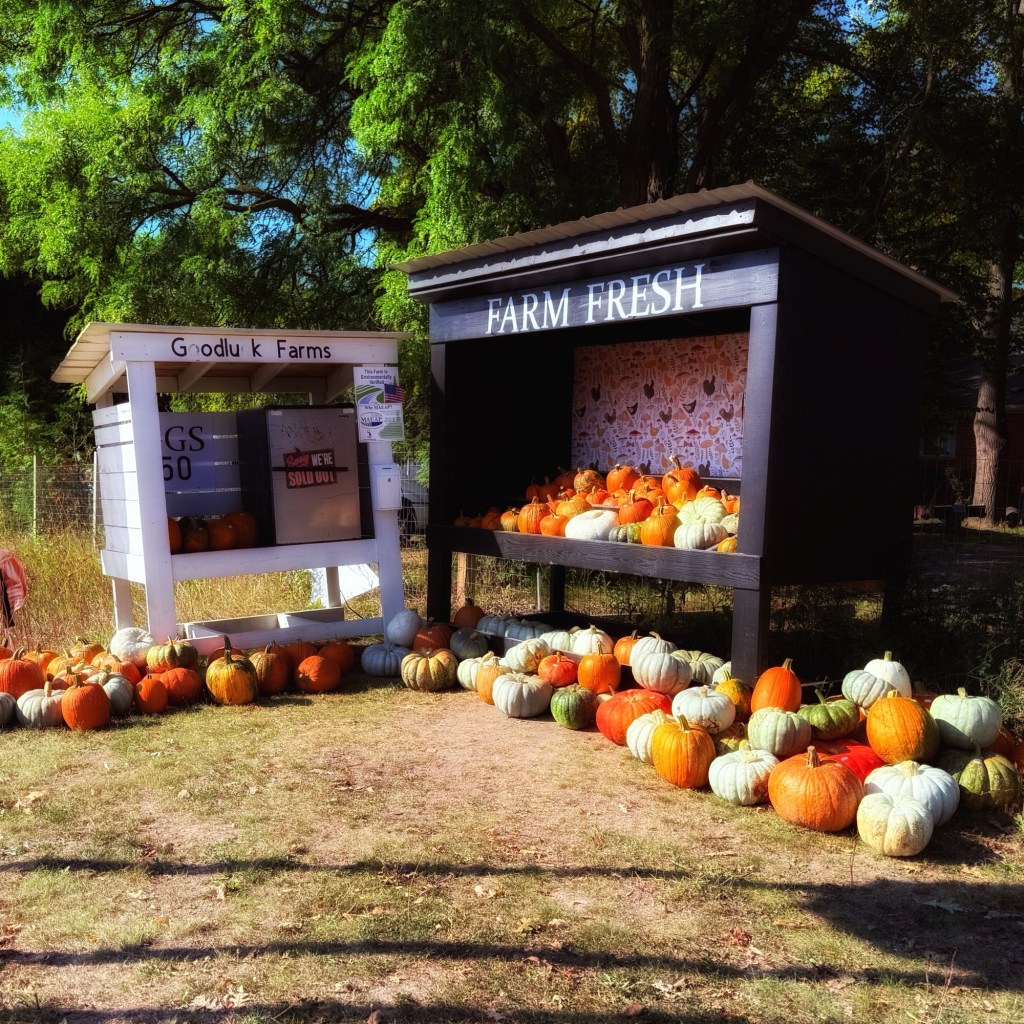 Fall Mornings And Good&nbsp;Quotes