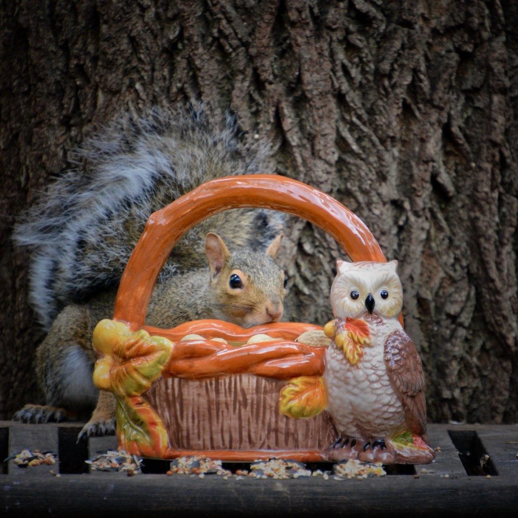 Fall Days And Good TV&nbsp;Shows