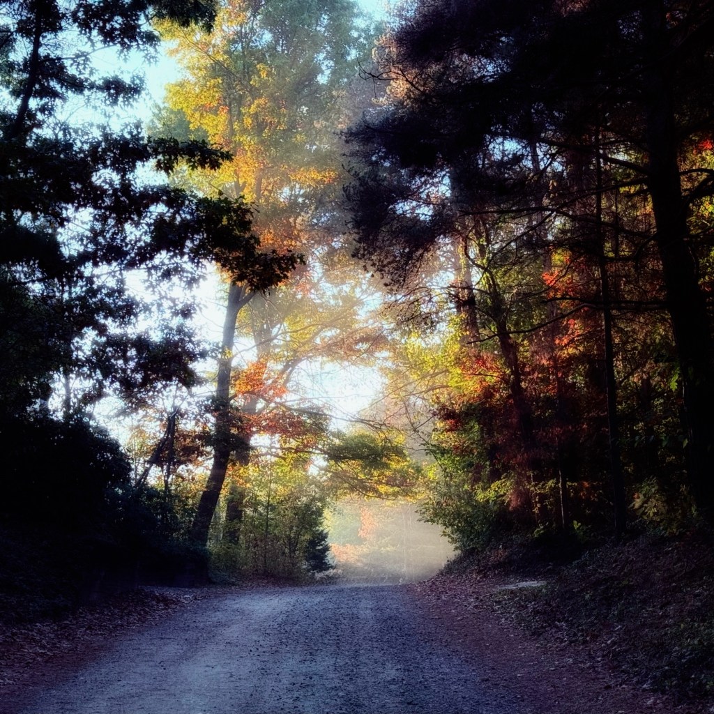 Fall Mornings And Good Podcasts