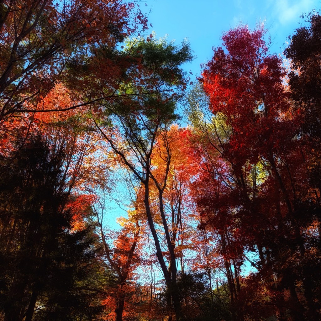 Monday Musings…On A&nbsp;Thursday