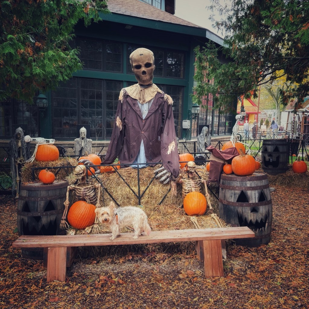 Fall Days And Good&nbsp;Movies