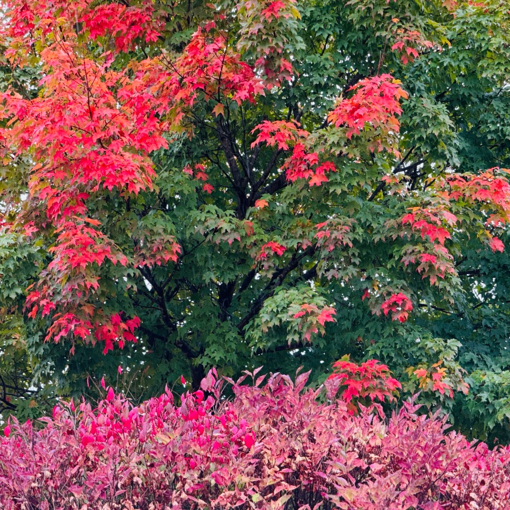 Fall Days and Good TV&nbsp;Shows