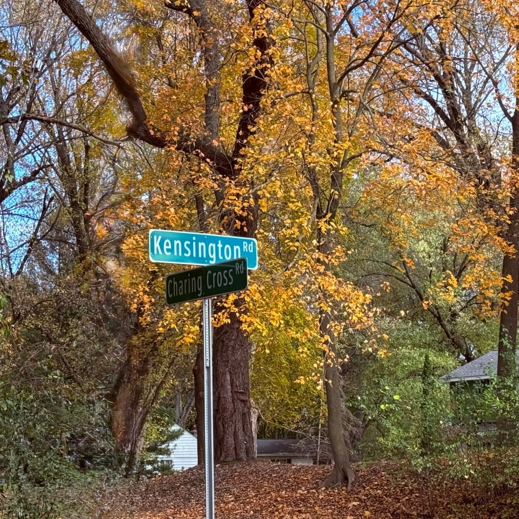 Fall Days And Good Movies