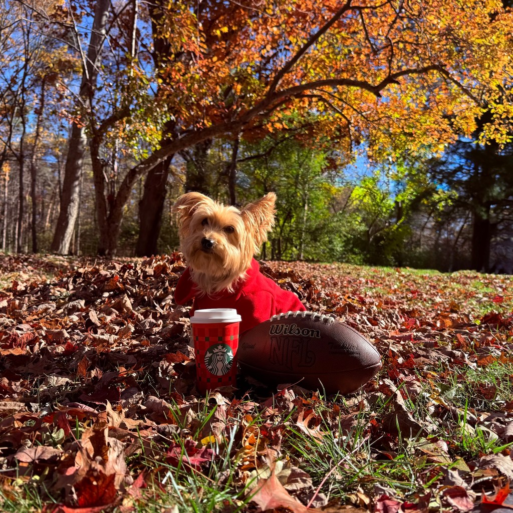 Fall Mornings And Good Football
