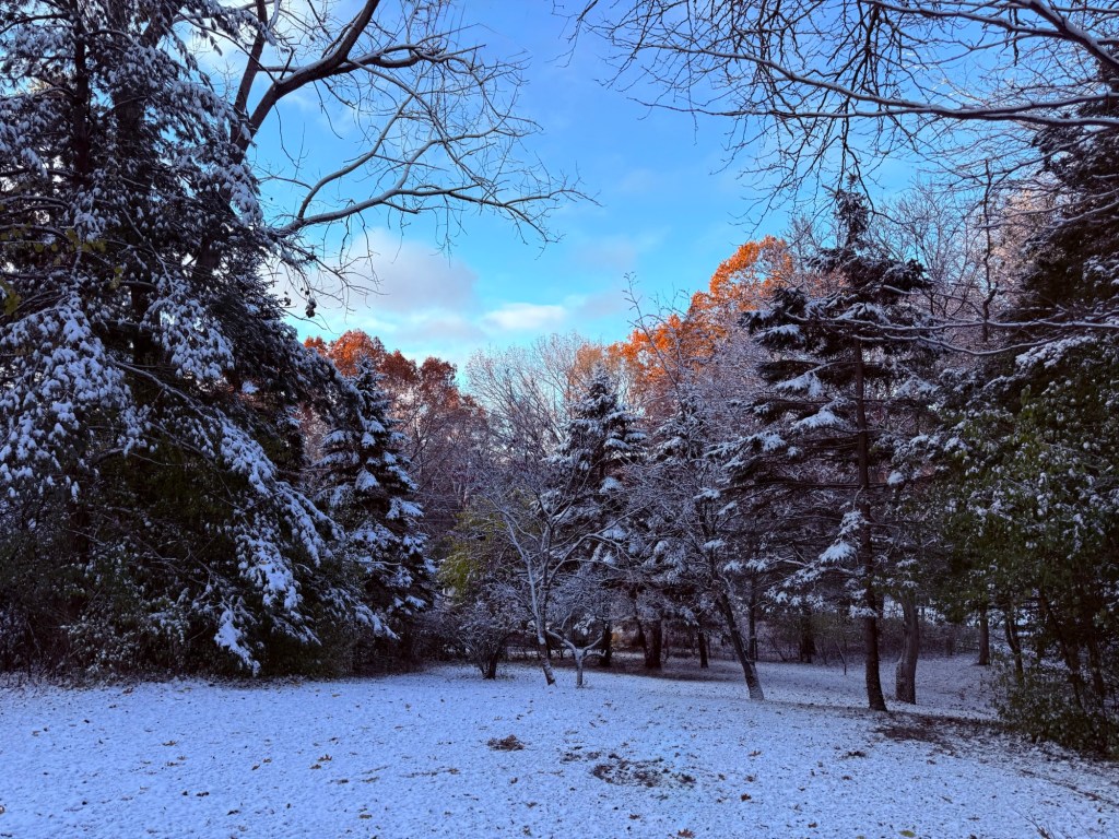 Monday Musings…On A Saturday