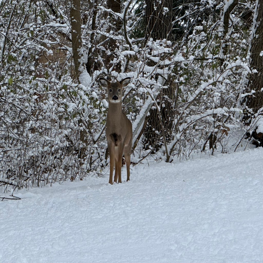 Monday Musings…On A Saturday